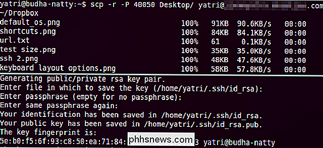 Come copiare i file su SSH in remoto senza inserire la password