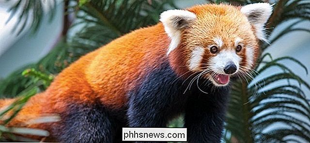 Firefox se chystá stát téměř úplnou kopií prohlížeče Chrome