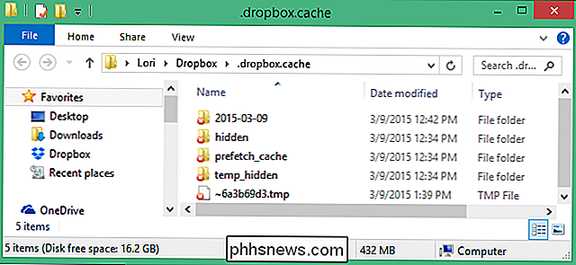 Cómo borrar su Dropbox Cache en Windows, MacOS y Linux