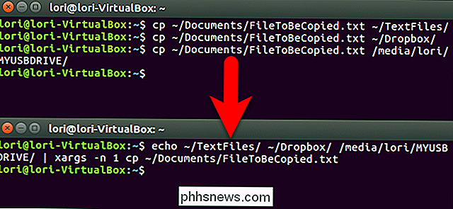 Come copiare un file in più directory con un comando in Linux