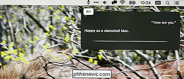 Hoe u 'Hey Siri' kunt gebruiken om Siri op uw Mac te lanceren