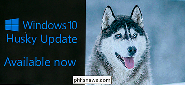 Microsoft: noem Windows 10-updates na honden